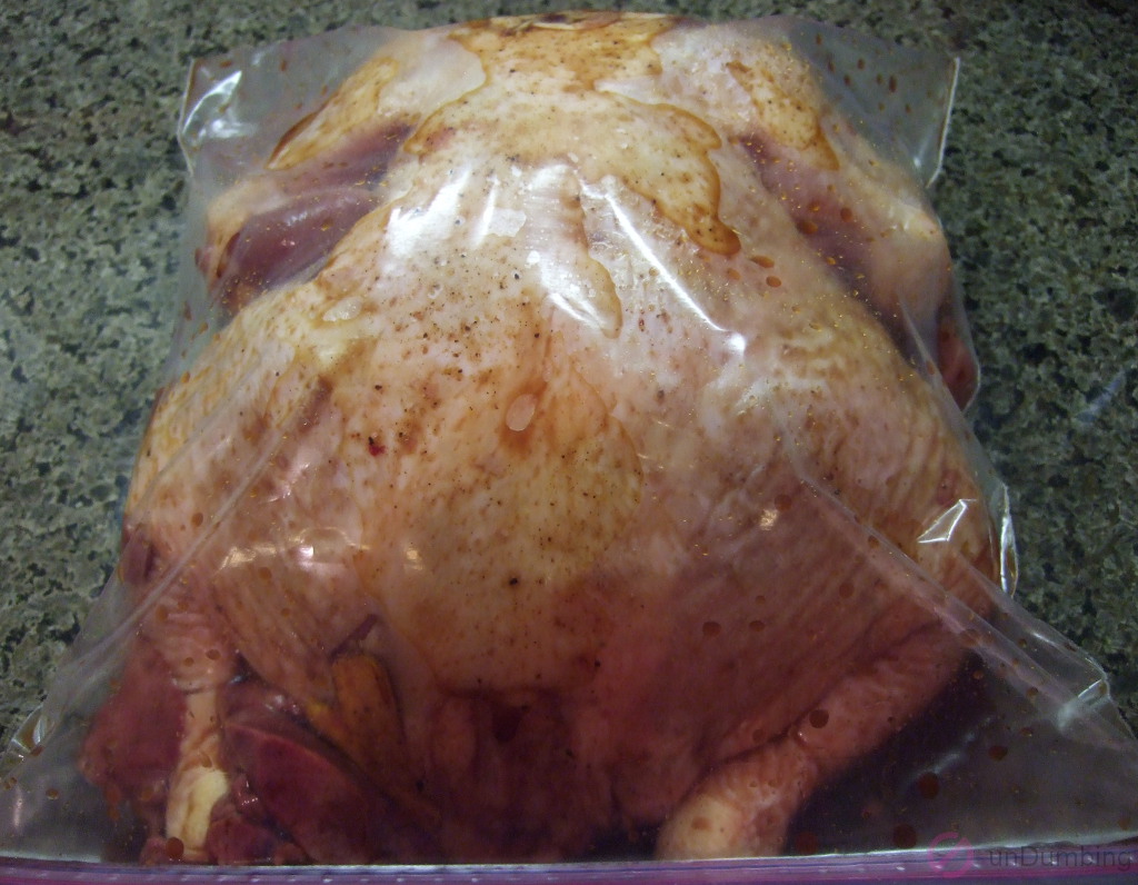 Chicken in a bag with marinade