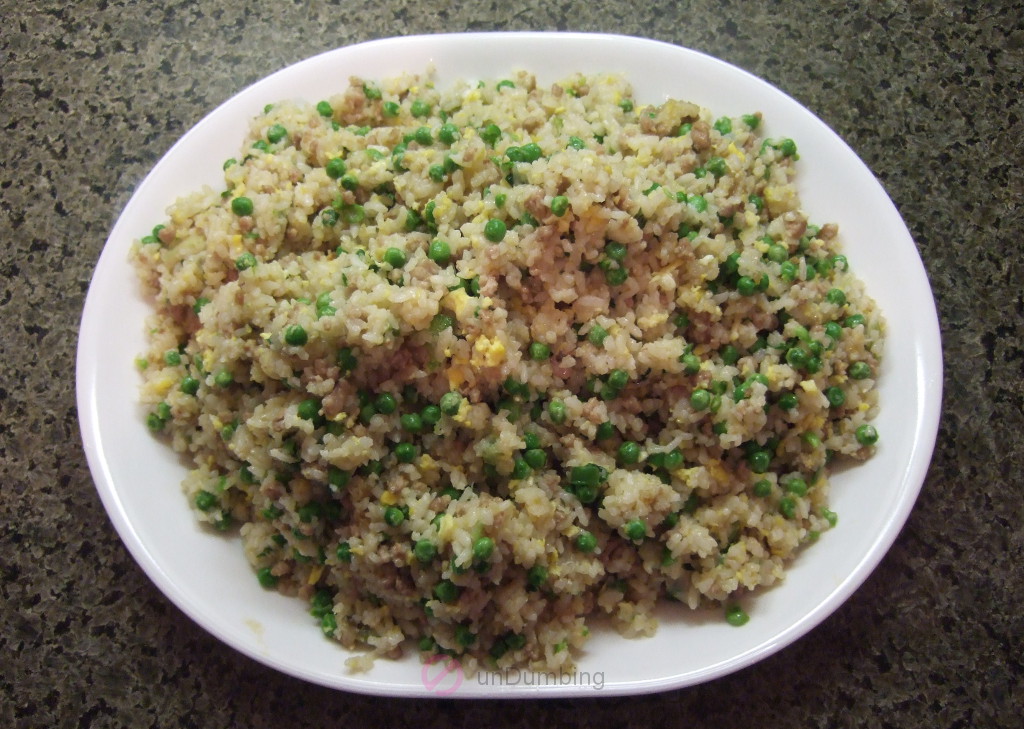 Plate of pork fried rice (Try 2)