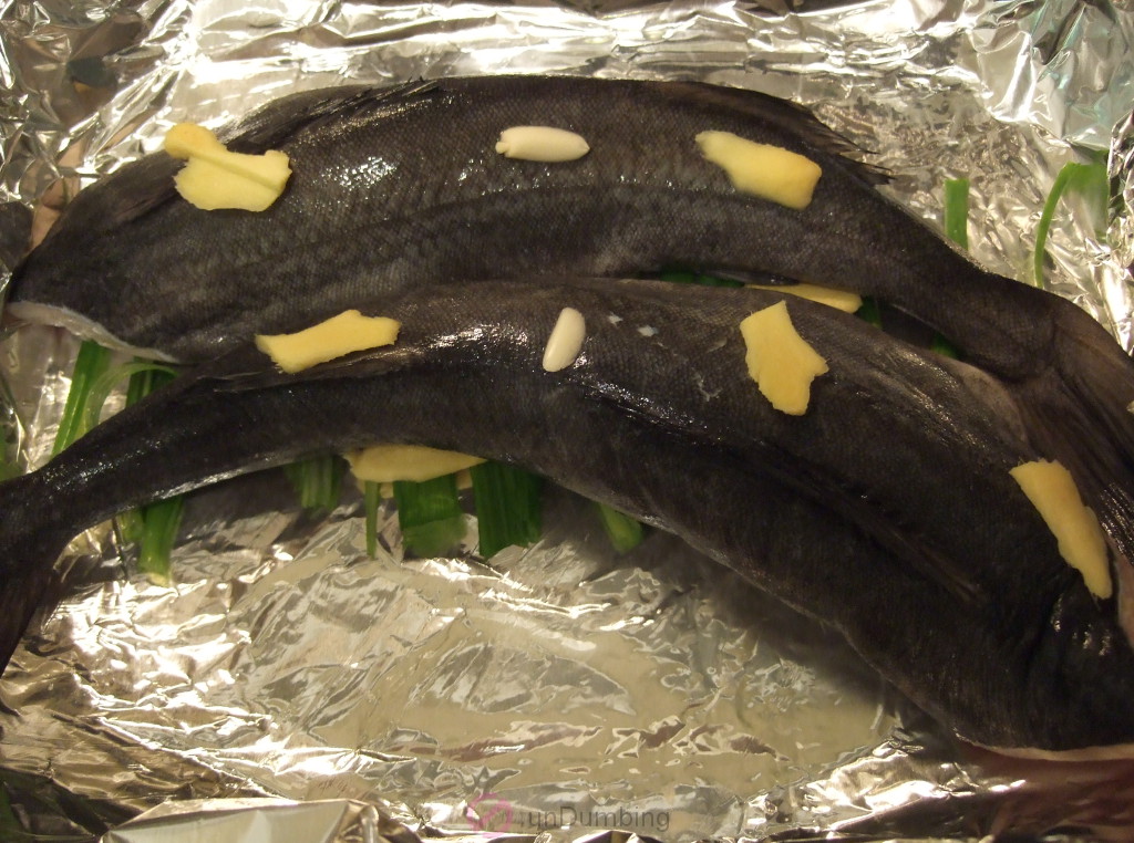 Fish with ginger, garlic, and green onion slices on a foil-lined roasting pan (Try 2)