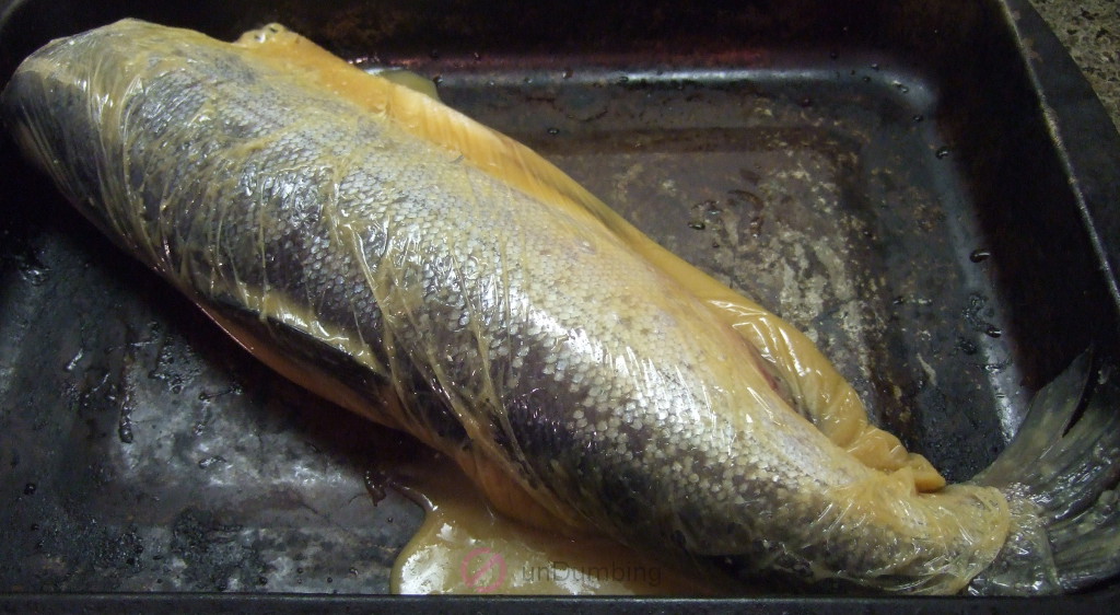 Salmon wrapped in plastic on a baking pan