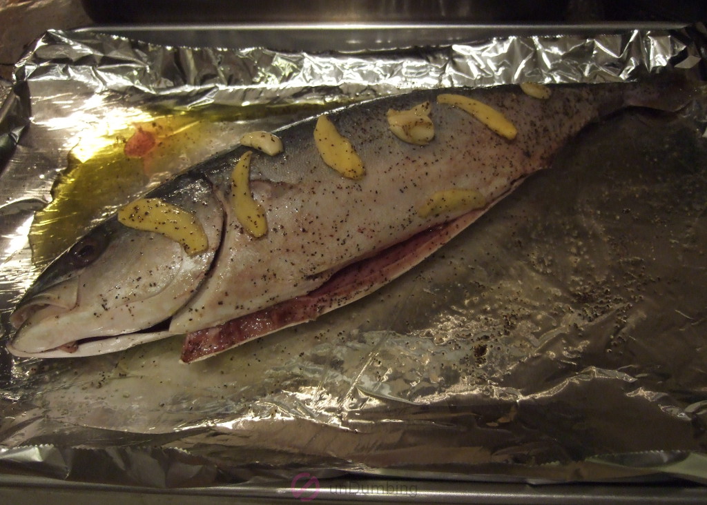 Yellowtail with rub on foil-lined baking sheet