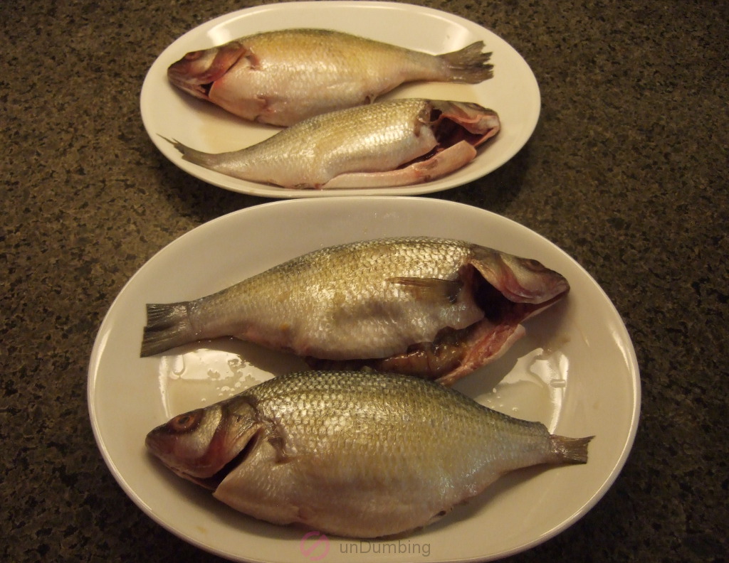Perch marinating on white plates
